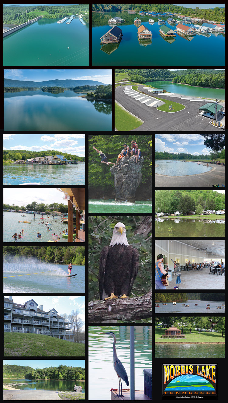 Norris Lake Photos of Norris Lake @ scott Dickman 2024