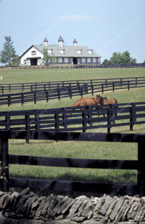 horsepark